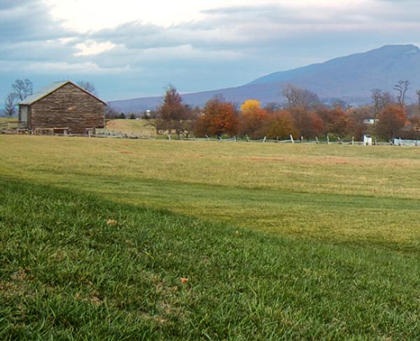 New Market Battle Facts and Summary American Battlefield Trust